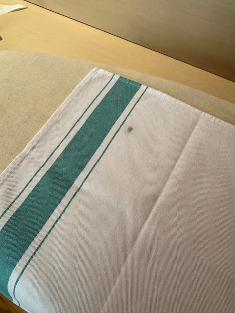 Tea Towel - Mansplain Survivor