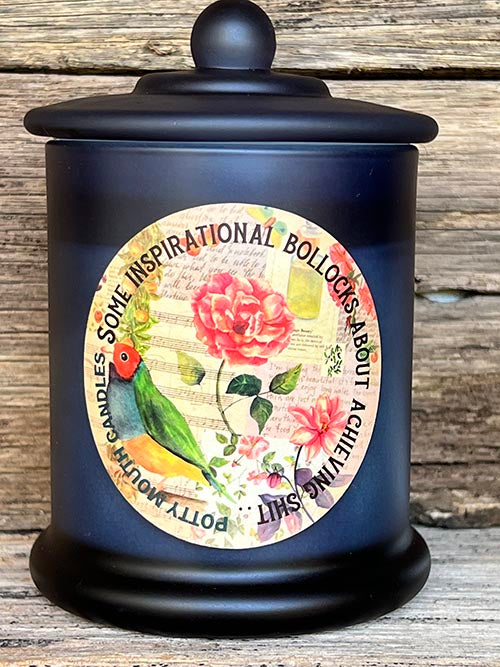 SOME INSPIRATIONAL BOLLOCKS Candle